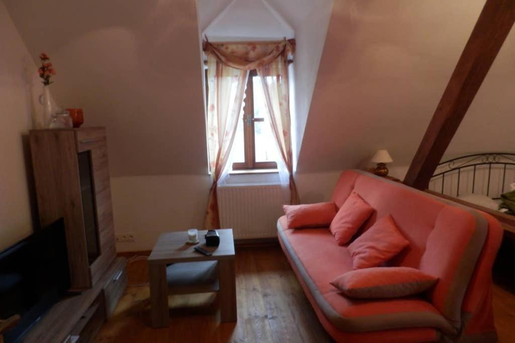 Zamecek Zdiky - Moderni Velky Apartman Bujanov Экстерьер фото